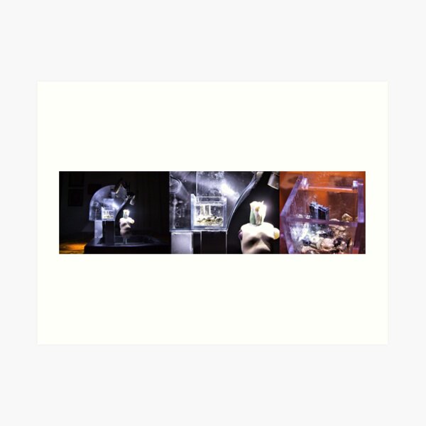 MAXXI Art Print