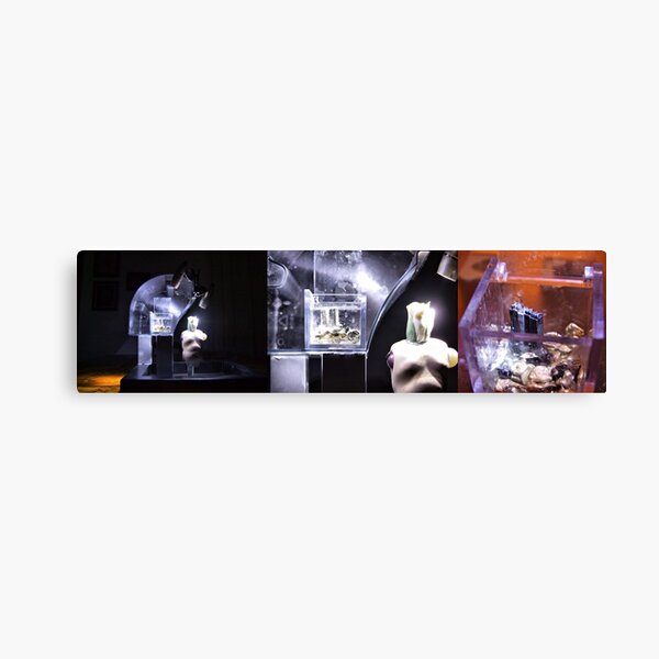 MAXXI Canvas Print