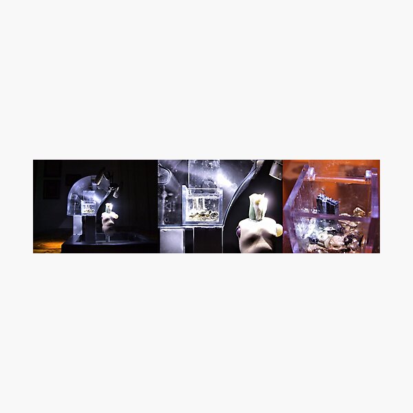 MAXXI Photographic Print