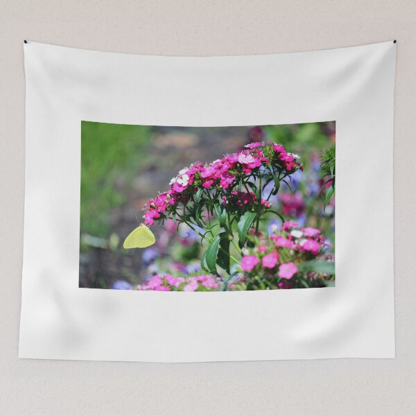 Item preview, Cloudless Sulphur Butterfly designed and sold by Cynthia48.