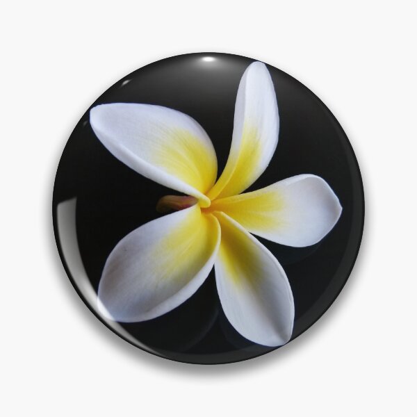 Item preview, Fallen Frangipani designed and sold by Trish Meyer.