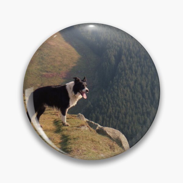 Item preview, Indy at Aber designed and sold by Michael Haslam.