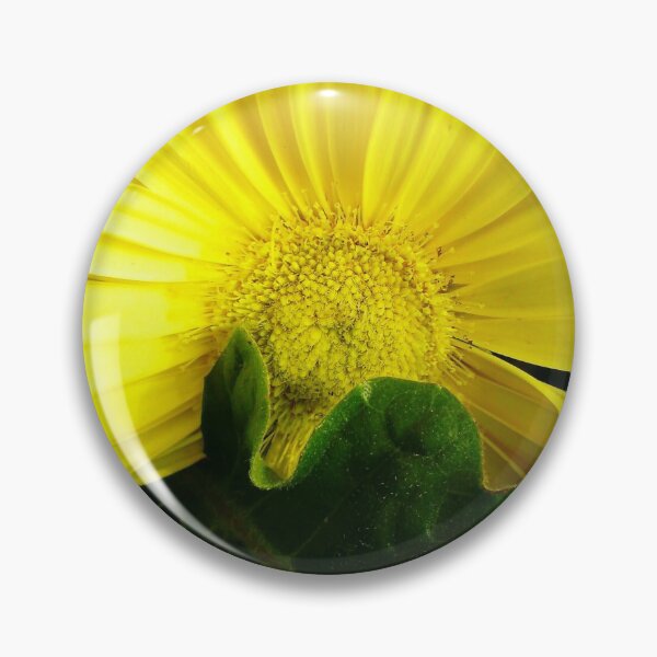 Item preview, Sunflower Behind Dark Green Leaf designed and sold by Capuletdesigns.