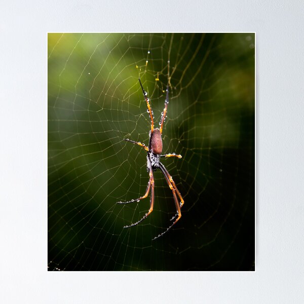 Item preview, Golden Orb designed and sold by michaelpartis.
