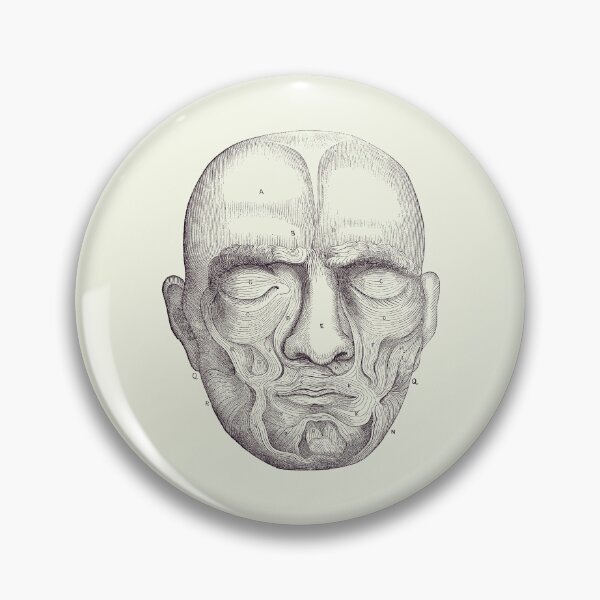 Item preview, Facial Muscles - Simple Diagram - Vintage Anatomy Print 2 designed and sold by VAposters.