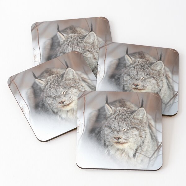 Item preview, Catnap designed and sold by mlorenz.