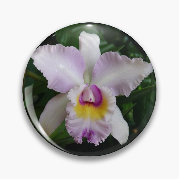 Item preview, An Unknown Beauty designed and sold by Trish Meyer.