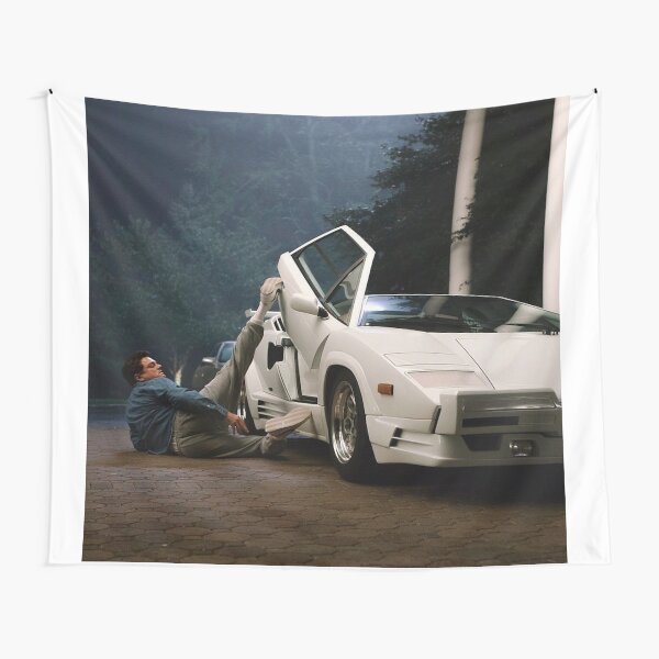 Leonardo DiCaprio Tapestry