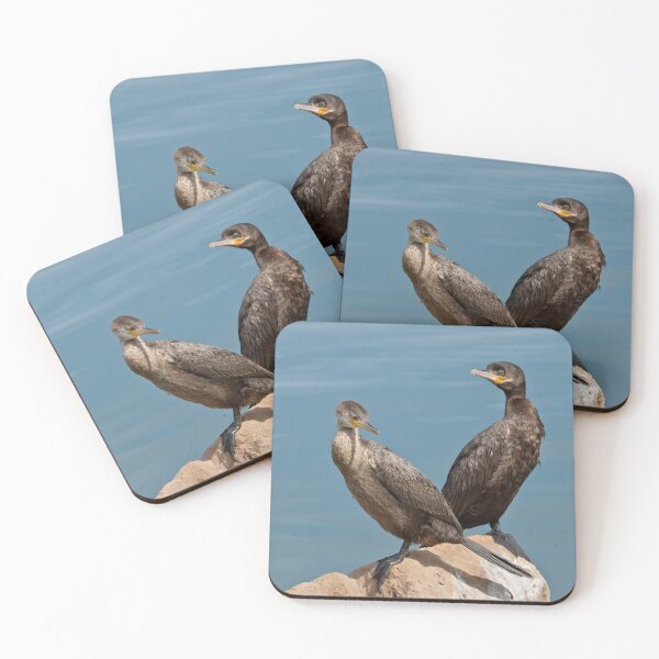 Item preview, Neotropic Cormorant Pair designed and sold by Jeff Goulden Photography.