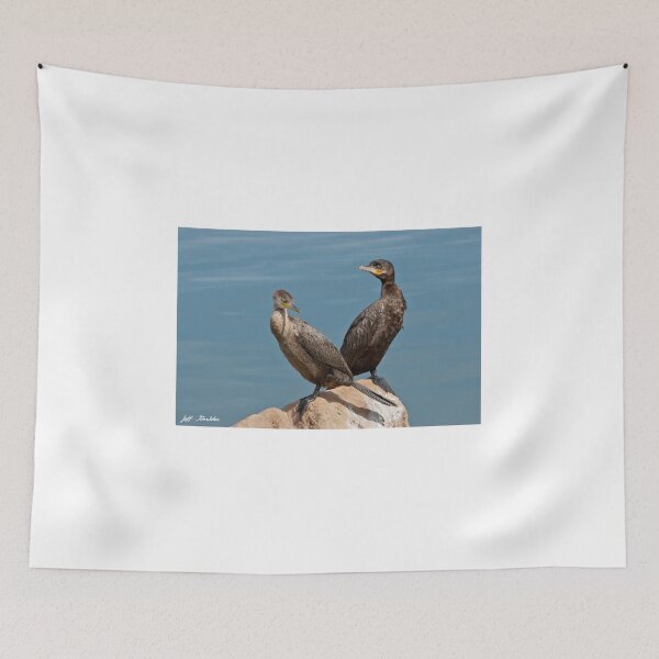 Item preview, Neotropic Cormorant Pair designed and sold by Jeff Goulden Photography.