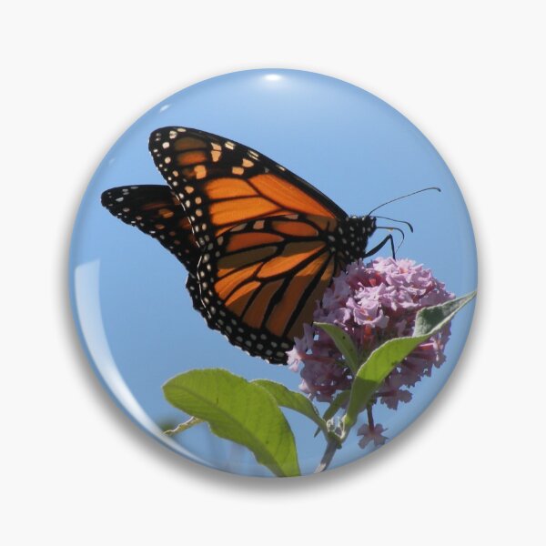 Item preview, Last Year's Monarch designed and sold by Trish Meyer.