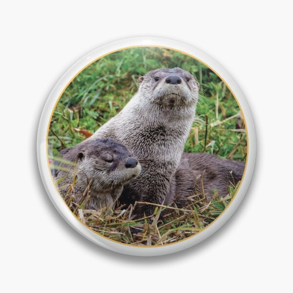 Item preview, Two River Otters at Ridgefield National Wildlife Refuge designed and sold by AvocaSpring.