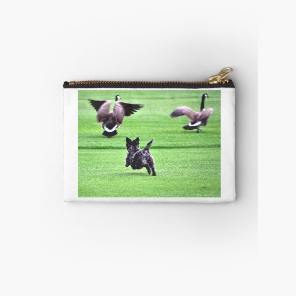 Item preview, SWEETPEE CHASING CANADA GEESE OFF GOLF COURSE designed and sold by JAYMILO.