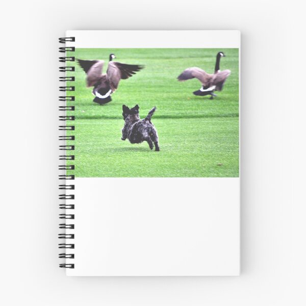 Item preview, SWEETPEE CHASING CANADA GEESE OFF GOLF COURSE designed and sold by JAYMILO.