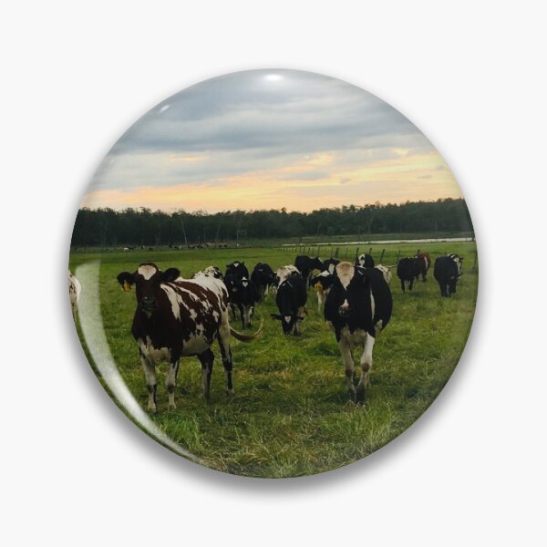 Item preview, Grazing Cows  designed and sold by normy1524.