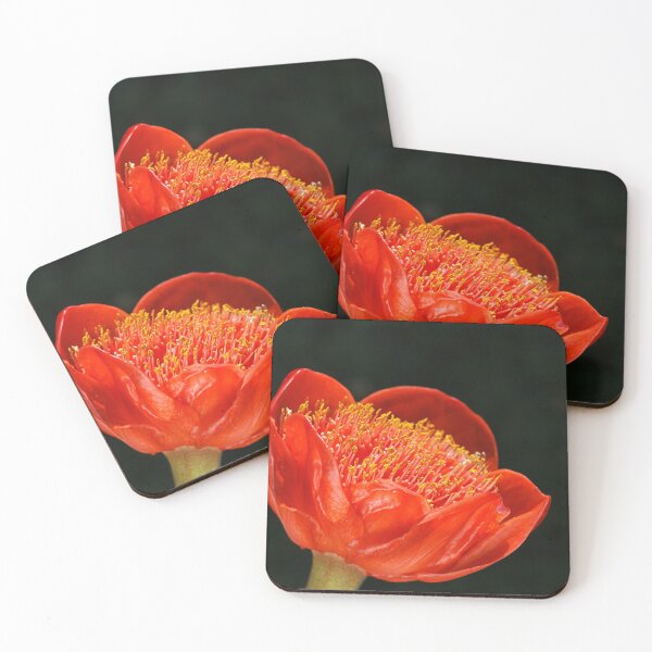 Item preview, Paintbrush Lily Glows designed and sold by Joy Watson - Natural Light Photography .
