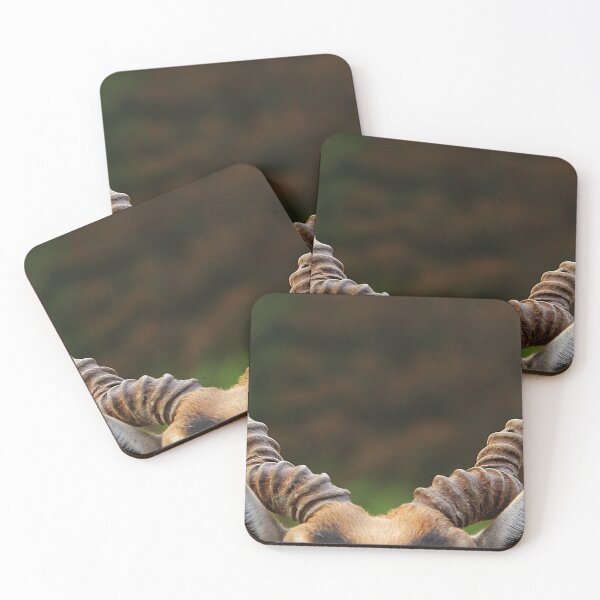 Item preview, Animalia: #1 designed and sold by hwhittaker6.