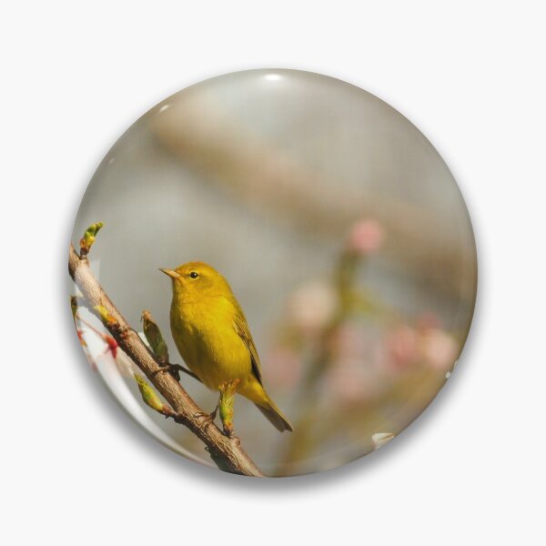 Item preview, Yellow Spring time Warbler designed and sold by RoseMarie747.