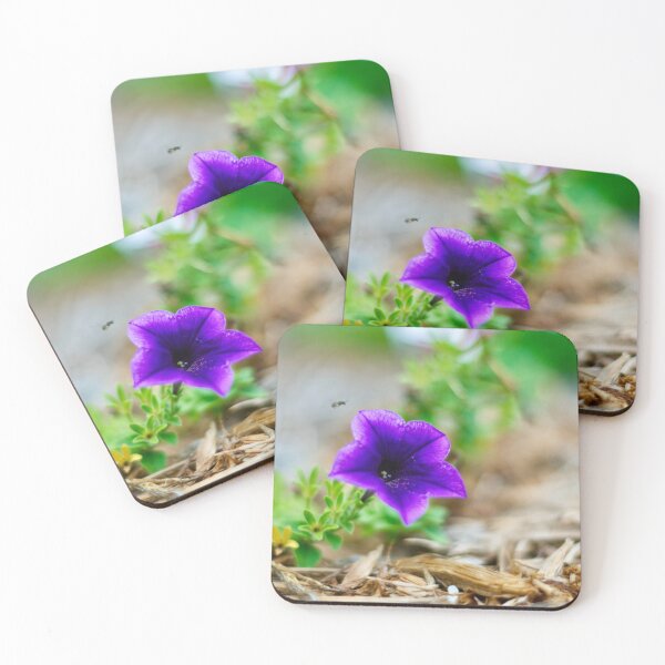 Item preview, Bee Petunia designed and sold by JRodSams.