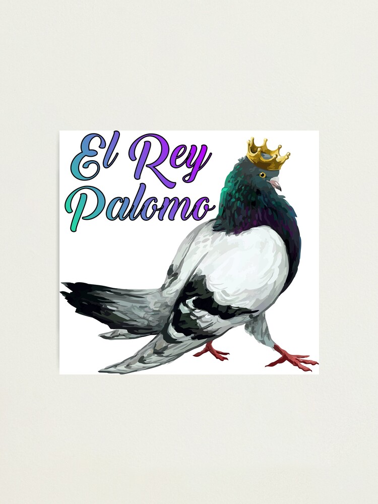 Lámina fotográfica con la obra «El Rey Palomo» de FotoLibreStudio