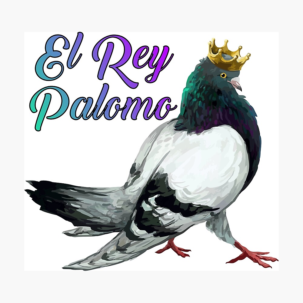 King Palomo