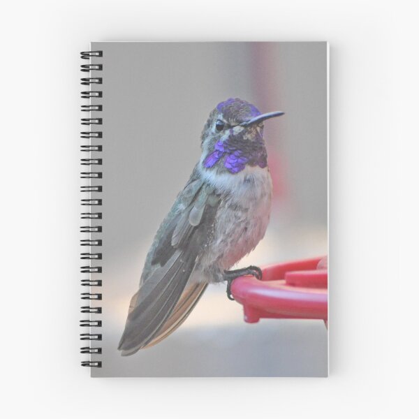 Item preview, ADULT MALE COSTA'S ON THE PERCH designed and sold by JAYMILO.
