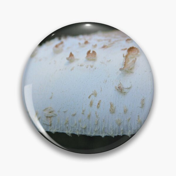 Item preview, Plantae: #2 designed and sold by hwhittaker6.