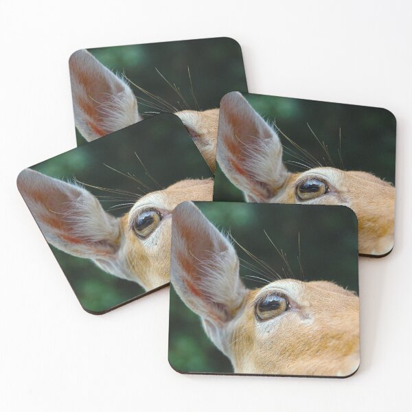 Item preview, Animalia: #4 designed and sold by hwhittaker6.