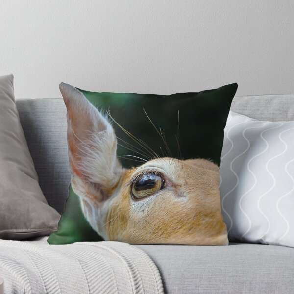 Item preview, Animalia: #4 designed and sold by hwhittaker6.