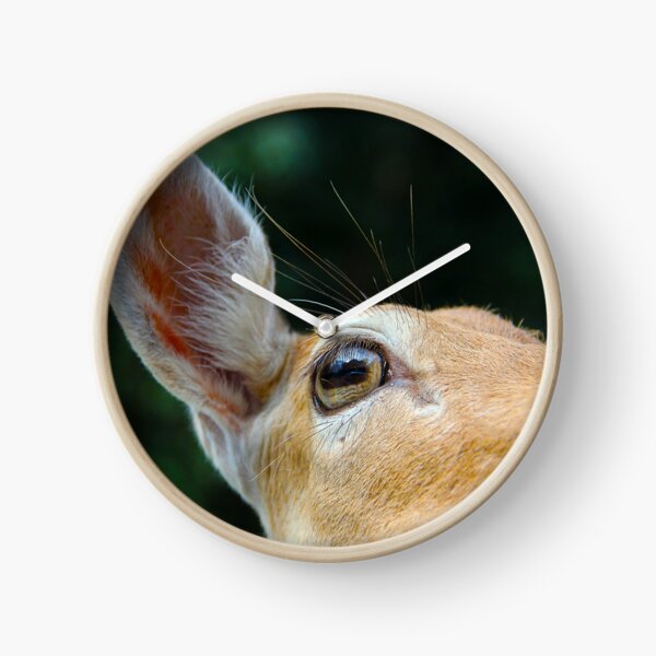 Item preview, Animalia: #4 designed and sold by hwhittaker6.