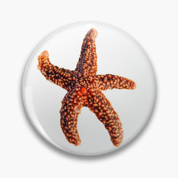 Artikelvorschau, Starfish entworfen und verkauft von Zina Stromberg.