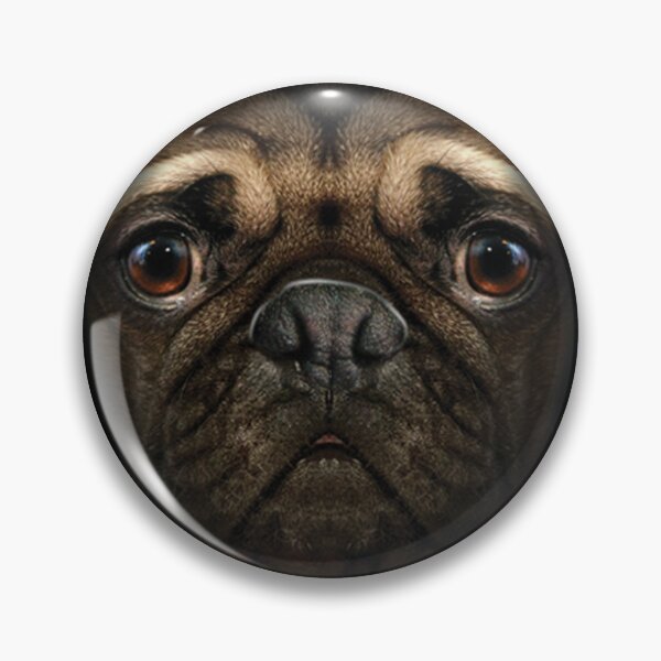 Item preview, Cara de pugs con grandes ojos conmovedores designed and sold by KA DESIGNS.