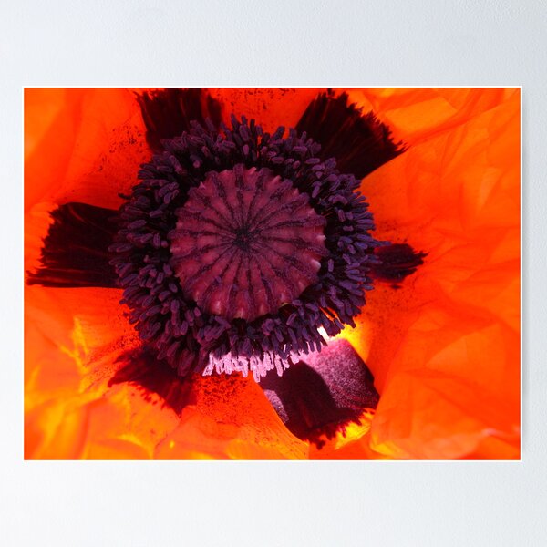 Item preview, Dominance designed and sold by MarianBendeth.