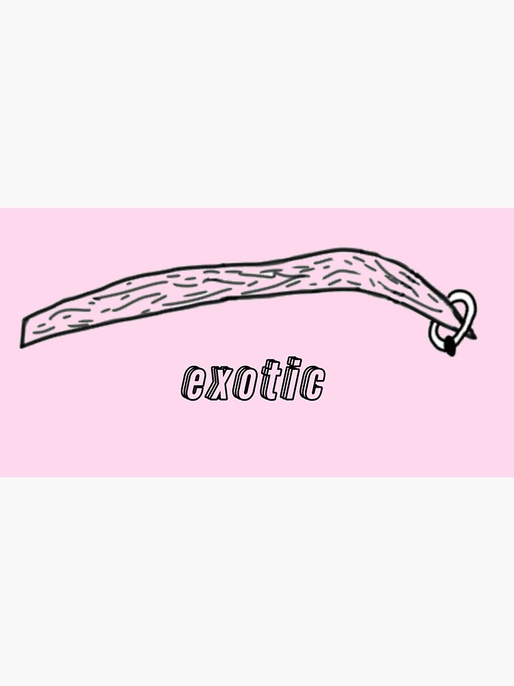 "Joe Exotic Eyebrow Sticker" Sticker for Sale by KingdomSmelly Redbubble