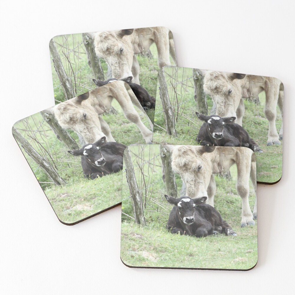 Item preview, Coasters (Set of 4) designed and sold by Wildwinyan.