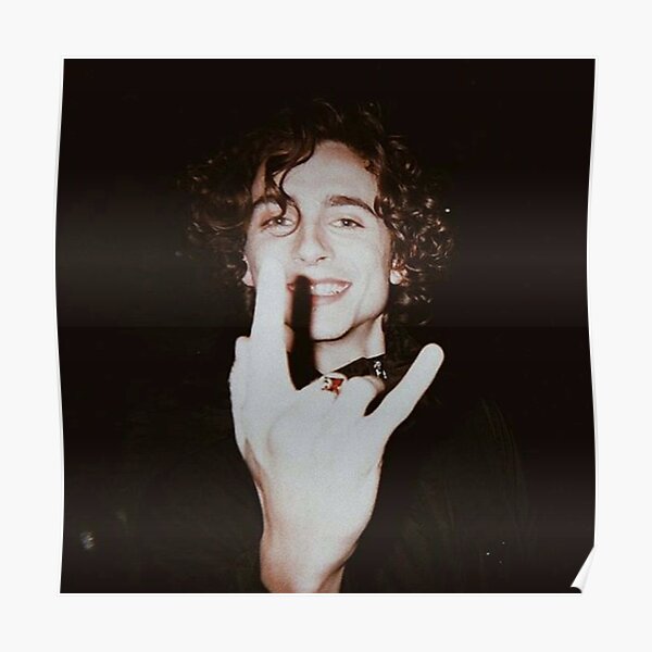 timothee chalamet Poster