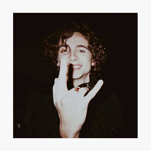 timothee chalamet Photographic Print
