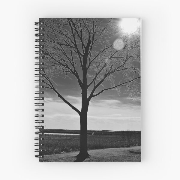 Item preview, Sun Beaming Light designed and sold by floofpictures.