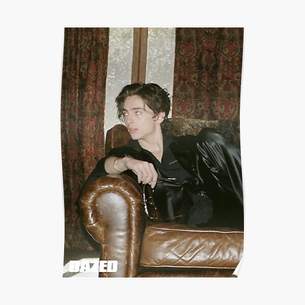 timothee chalamet Poster
