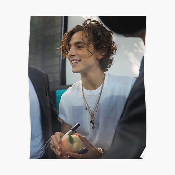 timothee chalamet Poster