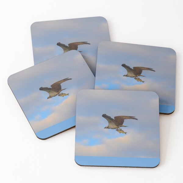 Item preview, Morning meal for Osprey designed and sold by floofpictures.