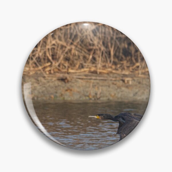 Item preview, The great cormorant flies at water level over a river designed and sold by brambillasimone.