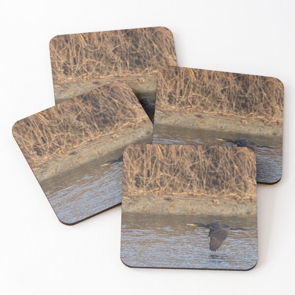 Item preview, The great cormorant flies at water level over a river designed and sold by brambillasimone.