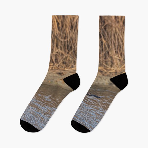 Item preview, The great cormorant flies at water level over a river designed and sold by brambillasimone.
