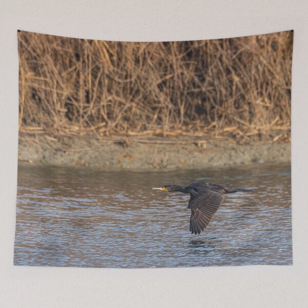 Item preview, The great cormorant flies at water level over a river designed and sold by brambillasimone.