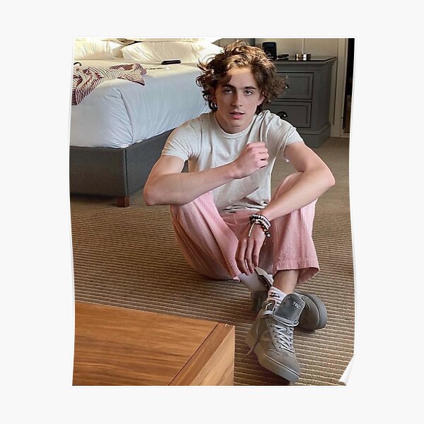 timothee chalamet Poster
