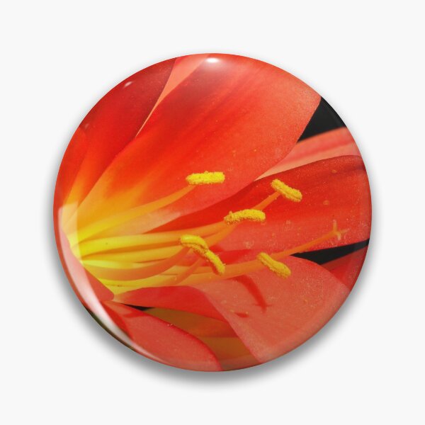 Item preview, Orange Delight designed and sold by Trish Meyer.