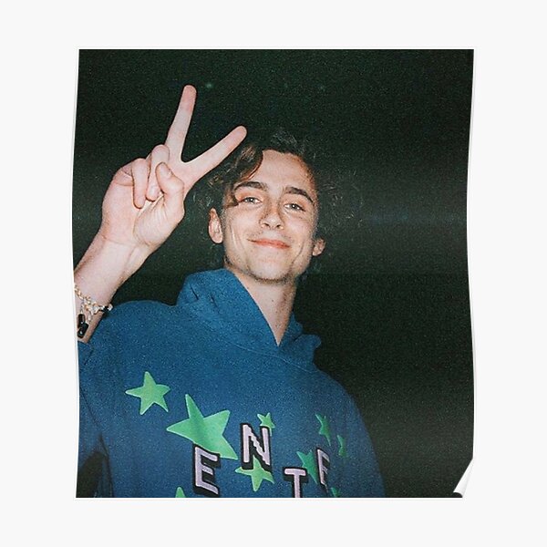timothee chalamet Poster