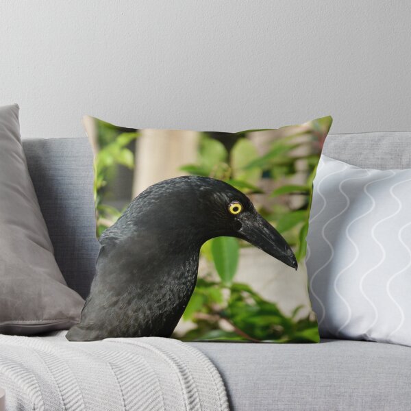 Item preview, Pied Currawong, Strepera graculina designed and sold by Trish Meyer.