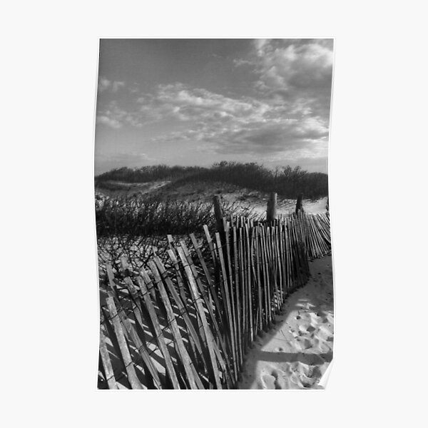 Dune Fence at Sandy Hook Poster
